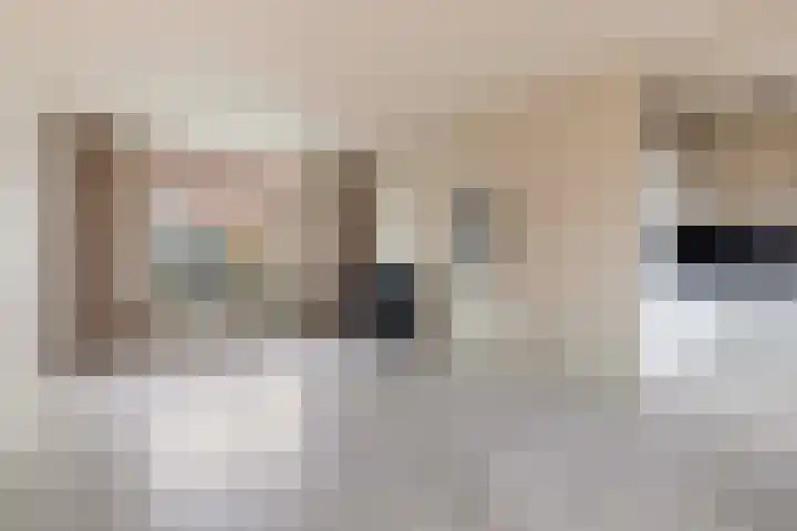 Ericastraat 17 Wezep thumbnail 4