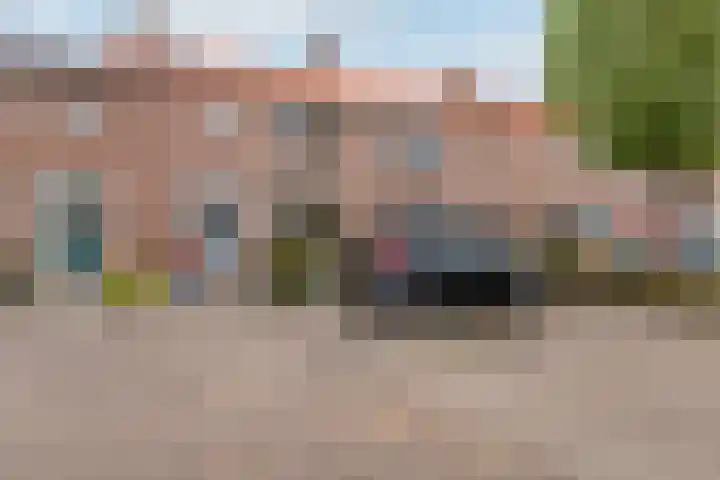 Ericastraat 17 Wezep thumbnail 5