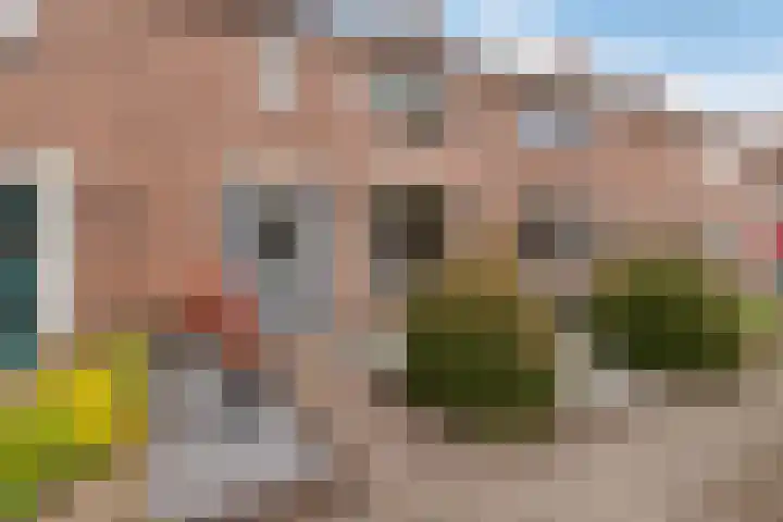 Ericastraat 17 Wezep thumbnail 6