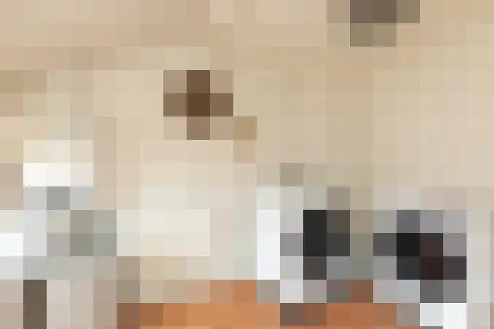 Ericastraat 19 Hilversum thumbnail 22