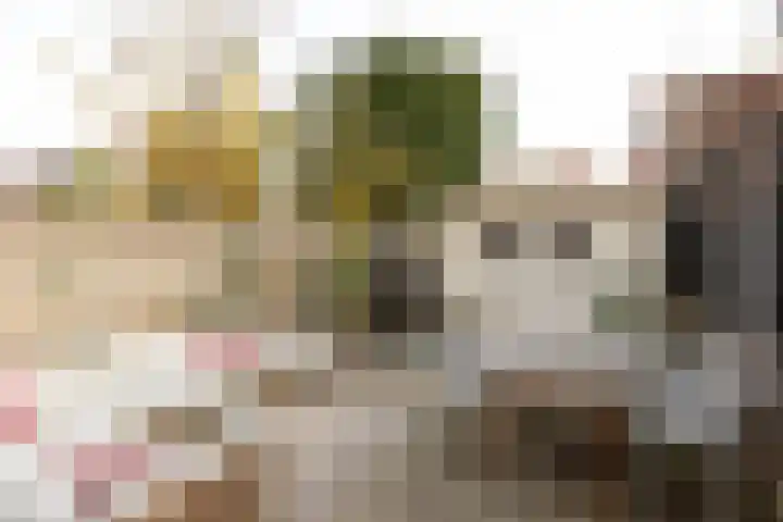 Ericastraat 19 Hilversum thumbnail 28