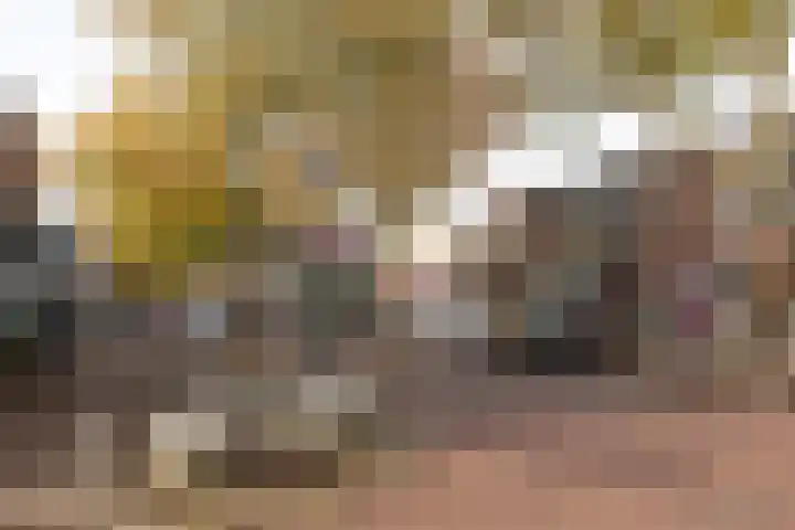 Ericastraat 19 Hilversum thumbnail 31