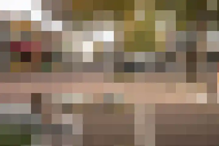 Ericastraat 19 Hilversum thumbnail 32