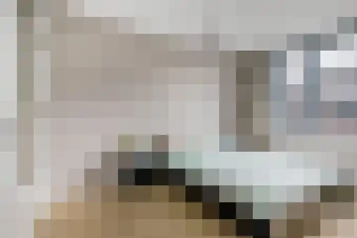 Ericastraat 20 Baarn thumbnail 14