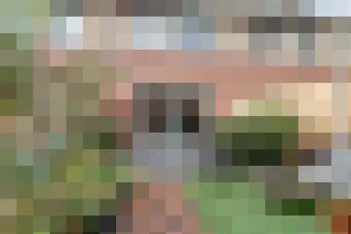 Ericastraat 20 Baarn thumbnail 24