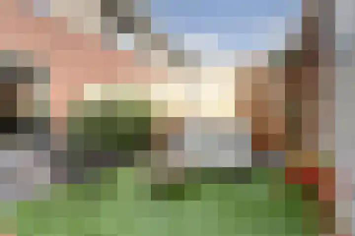 Ericastraat 20 Baarn thumbnail 27