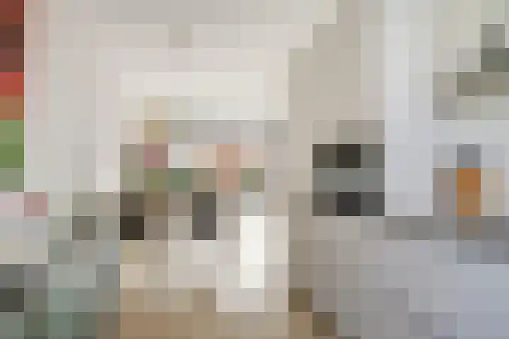 Ericastraat 20 Baarn thumbnail 8