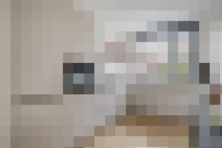 Ericastraat 20 Baarn thumbnail 9