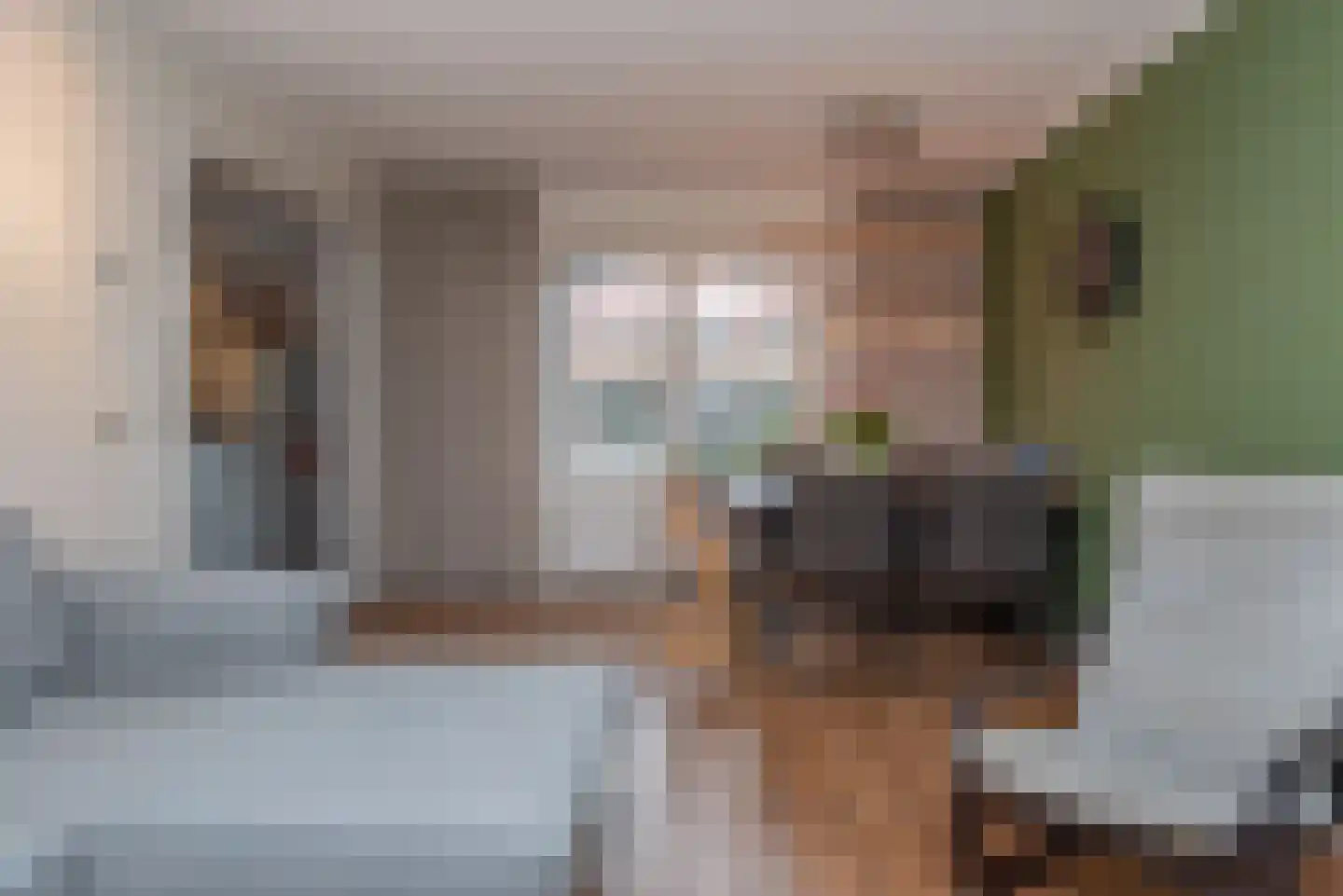 Ericastraat 20 Wezep thumbnail 15