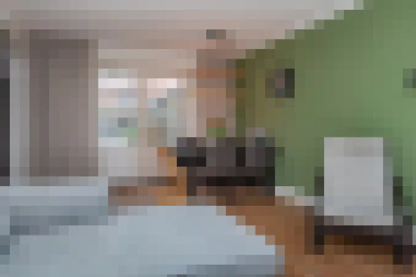 Ericastraat 20 Wezep thumbnail 17