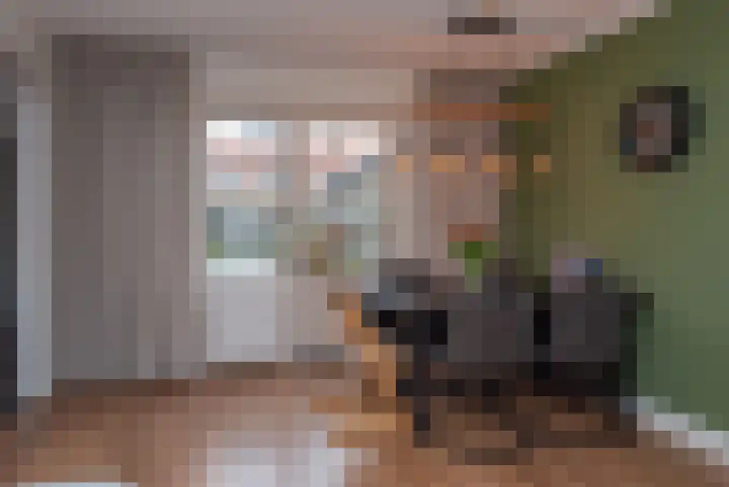 Ericastraat 20 Wezep thumbnail 18