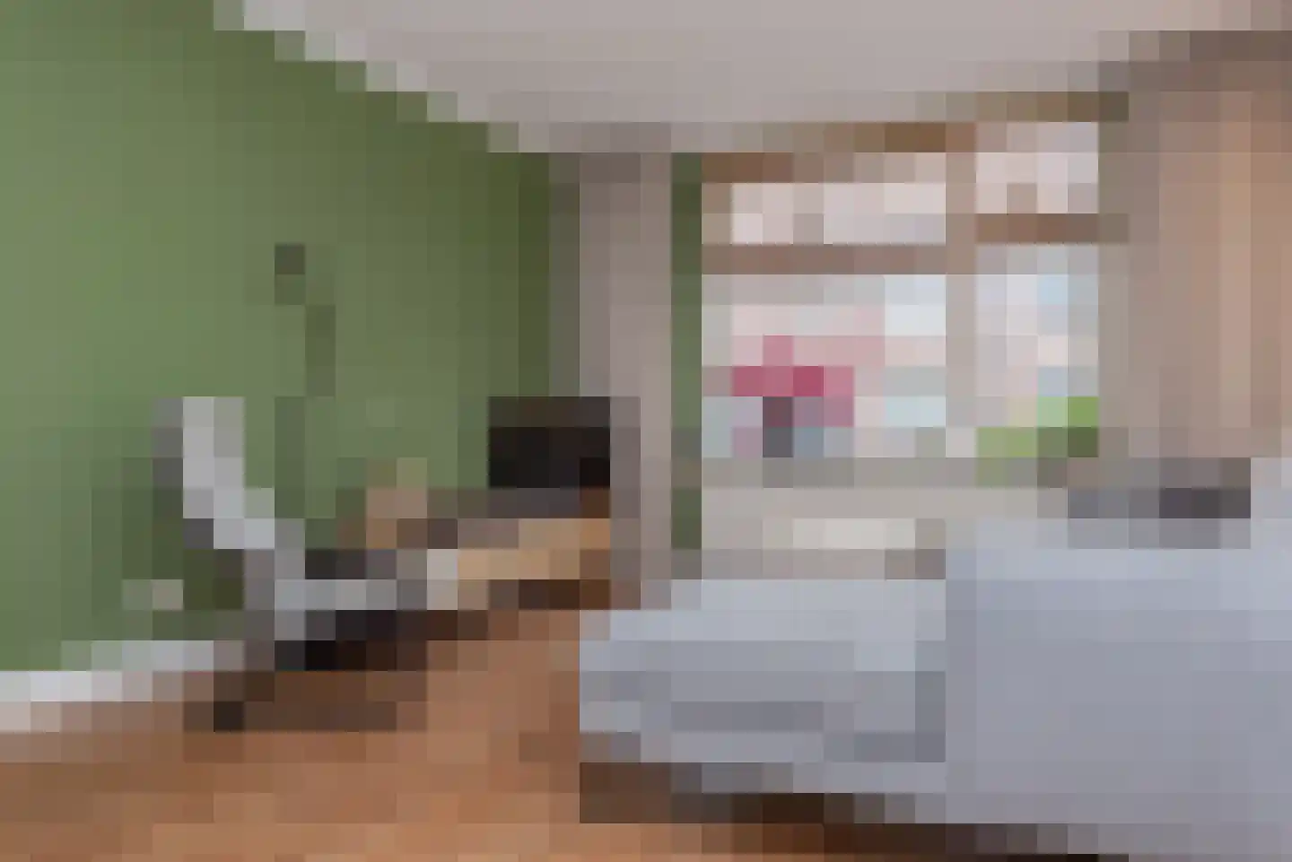 Ericastraat 20 Wezep thumbnail 20