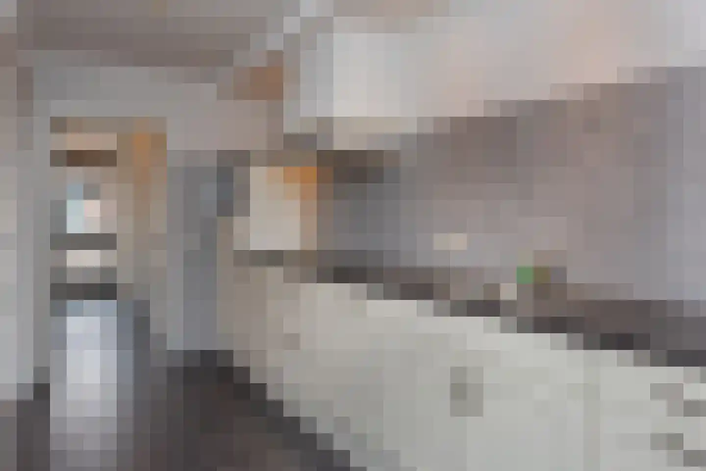 Ericastraat 20 Wezep thumbnail 27
