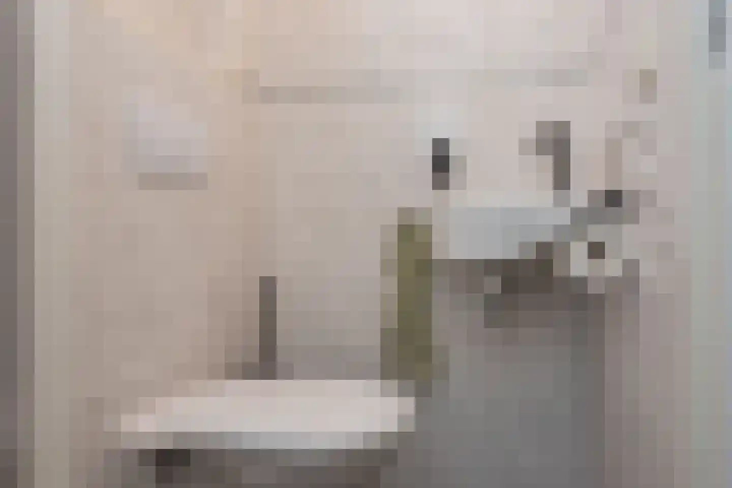 Ericastraat 20 Wezep thumbnail 6