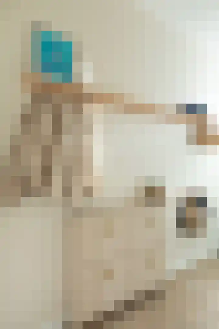 Ericastraat 25 Hilversum thumbnail 9