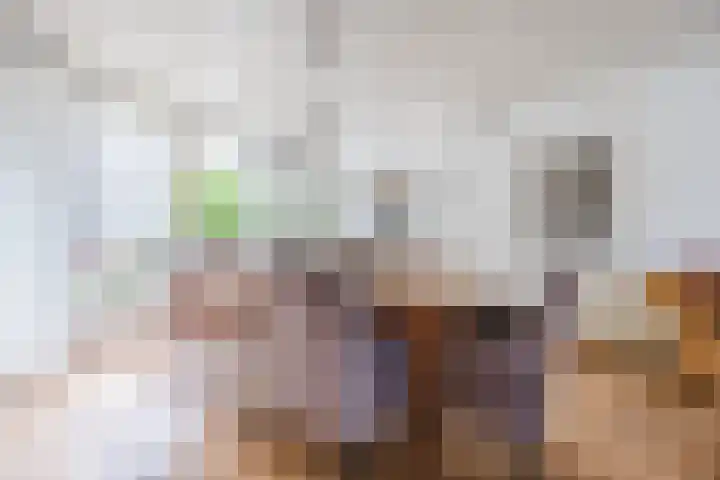 Ericastraat 25 Zwijndrecht thumbnail 13
