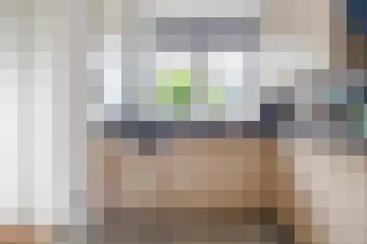 Ericastraat 25 Zwijndrecht thumbnail 20