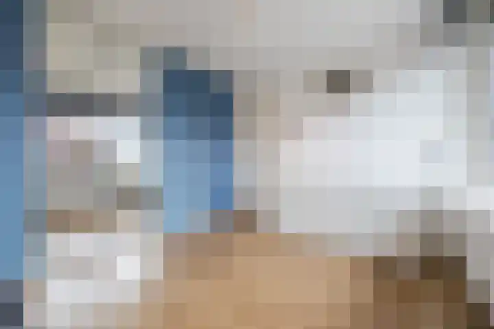 Ericastraat 25 Zwijndrecht thumbnail 30
