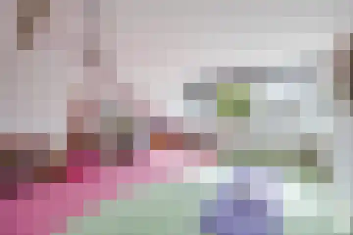 Ericastraat 25 Zwijndrecht thumbnail 36