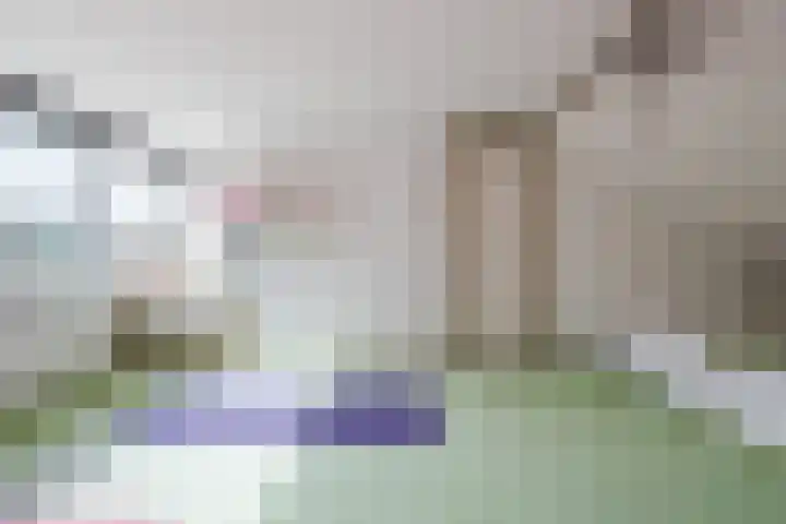 Ericastraat 25 Zwijndrecht thumbnail 37