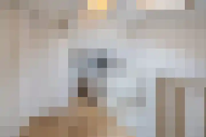 Ericastraat 25 Zwijndrecht thumbnail 39
