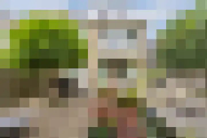 Ericastraat 25 Zwijndrecht thumbnail 47