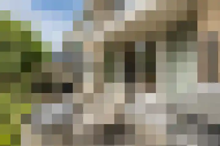 Ericastraat 25 Zwijndrecht thumbnail 51