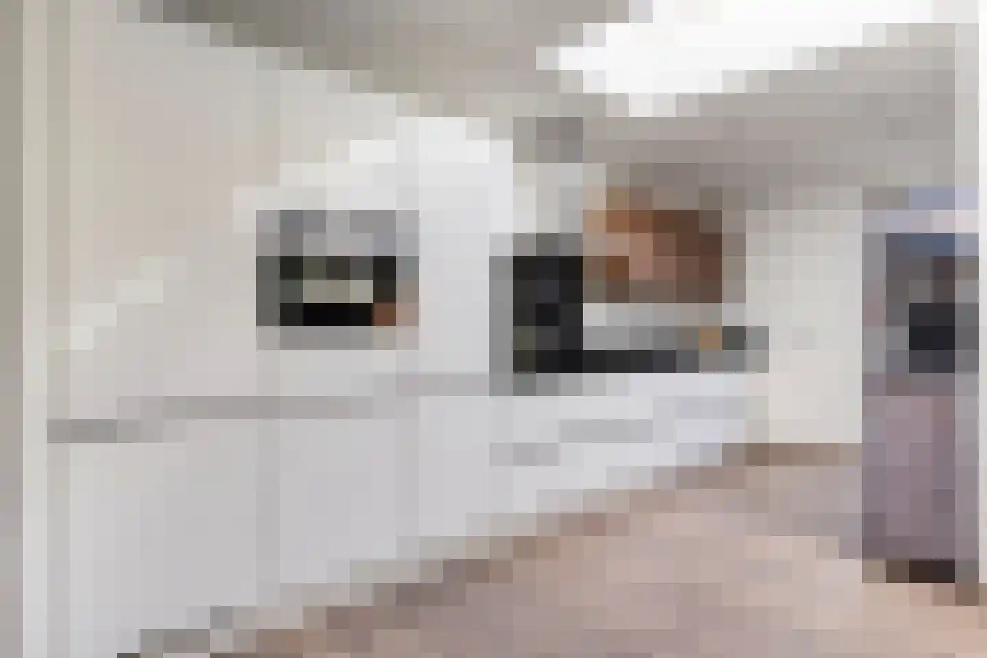 Ericastraat 27 Bladel thumbnail 13
