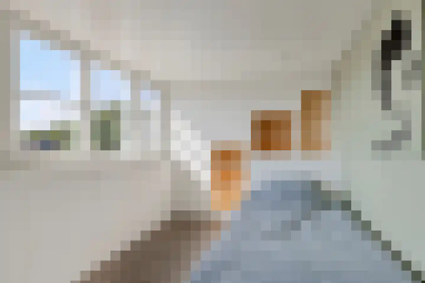 Ericastraat 27 Bladel thumbnail 24