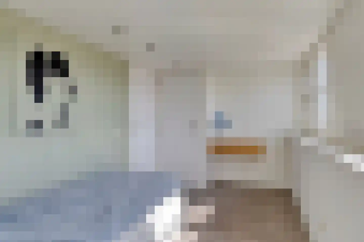 Ericastraat 27 Bladel thumbnail 25