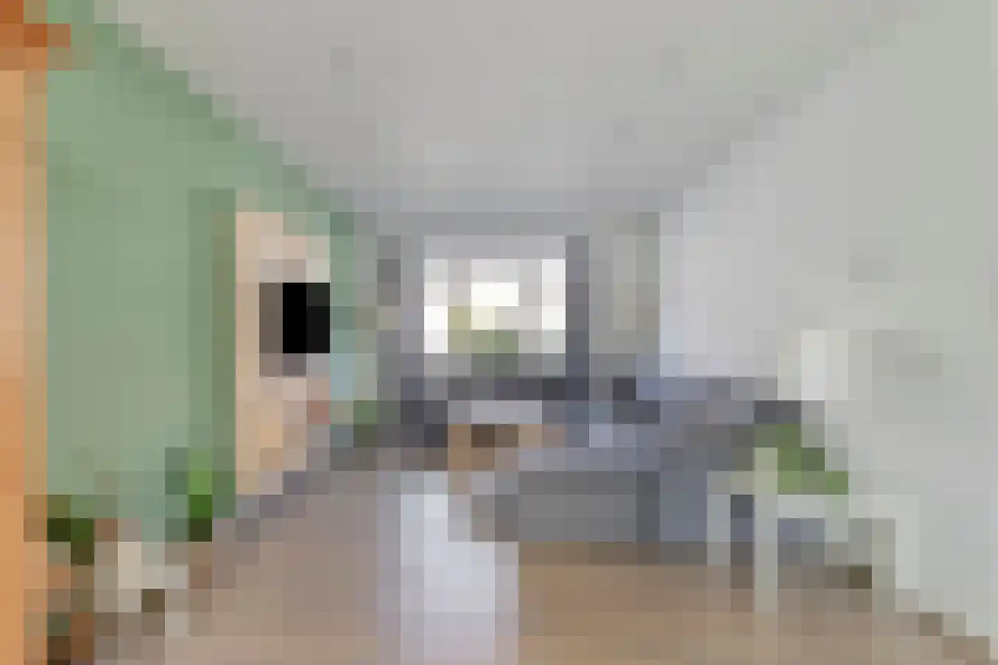 Ericastraat 27 Bladel thumbnail 7