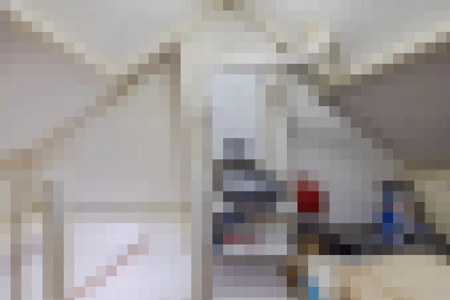 Ericastraat 28 Bladel thumbnail 25