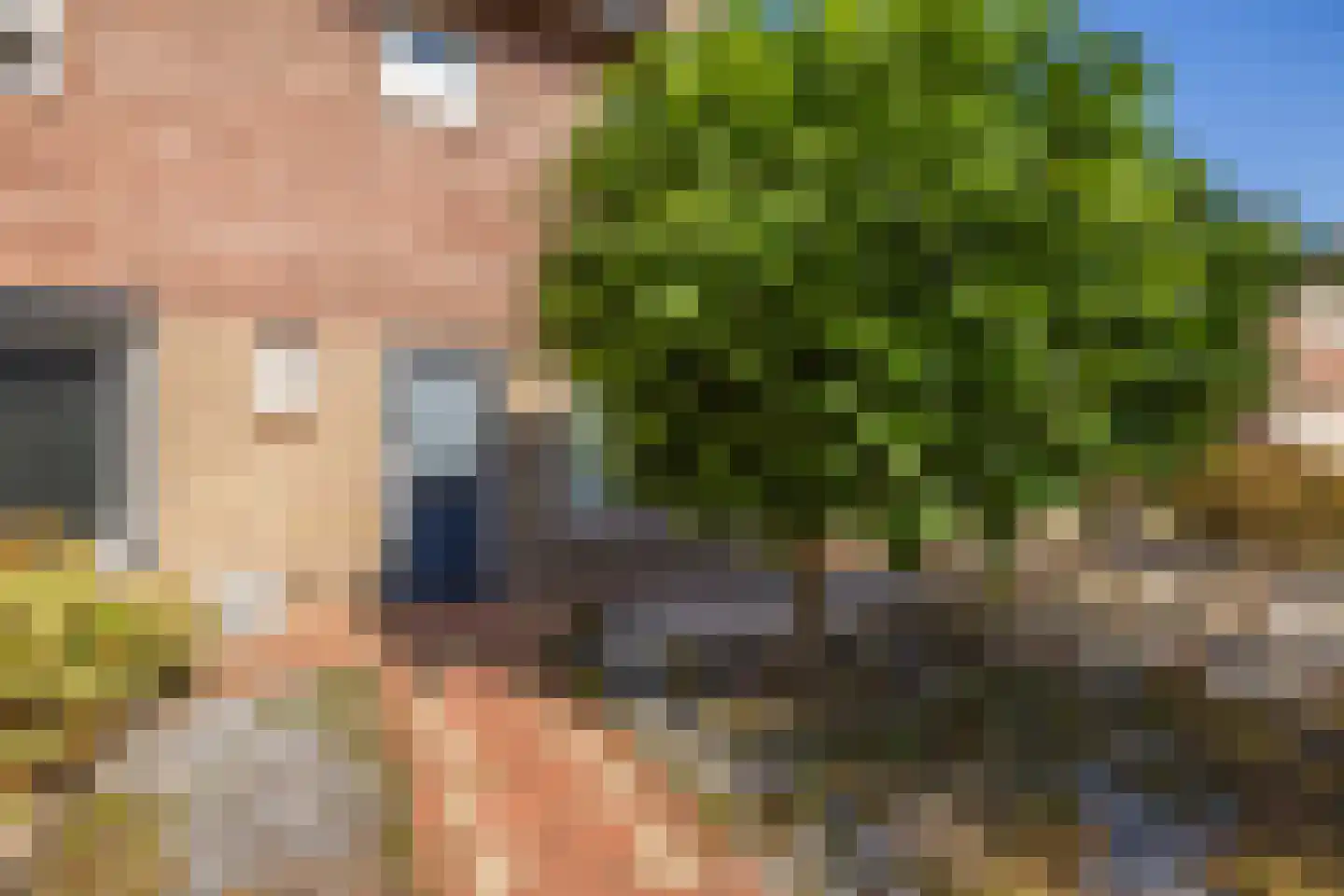Ericastraat 28 Bladel thumbnail 31