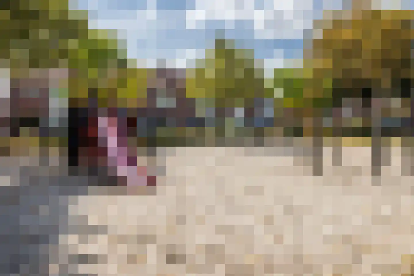 Ericastraat 28 Bladel thumbnail 34