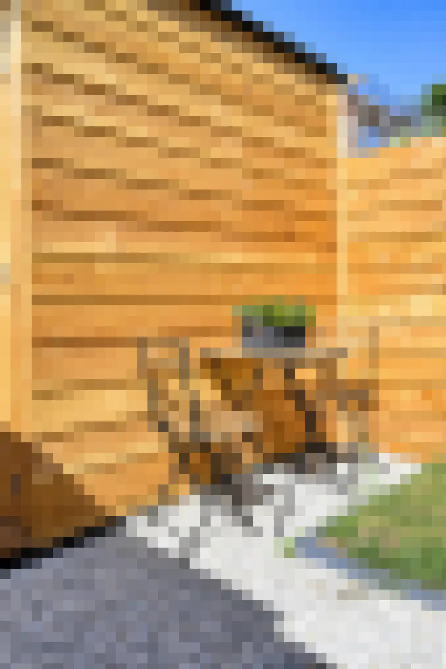 Ericastraat 28 Hilversum thumbnail 32