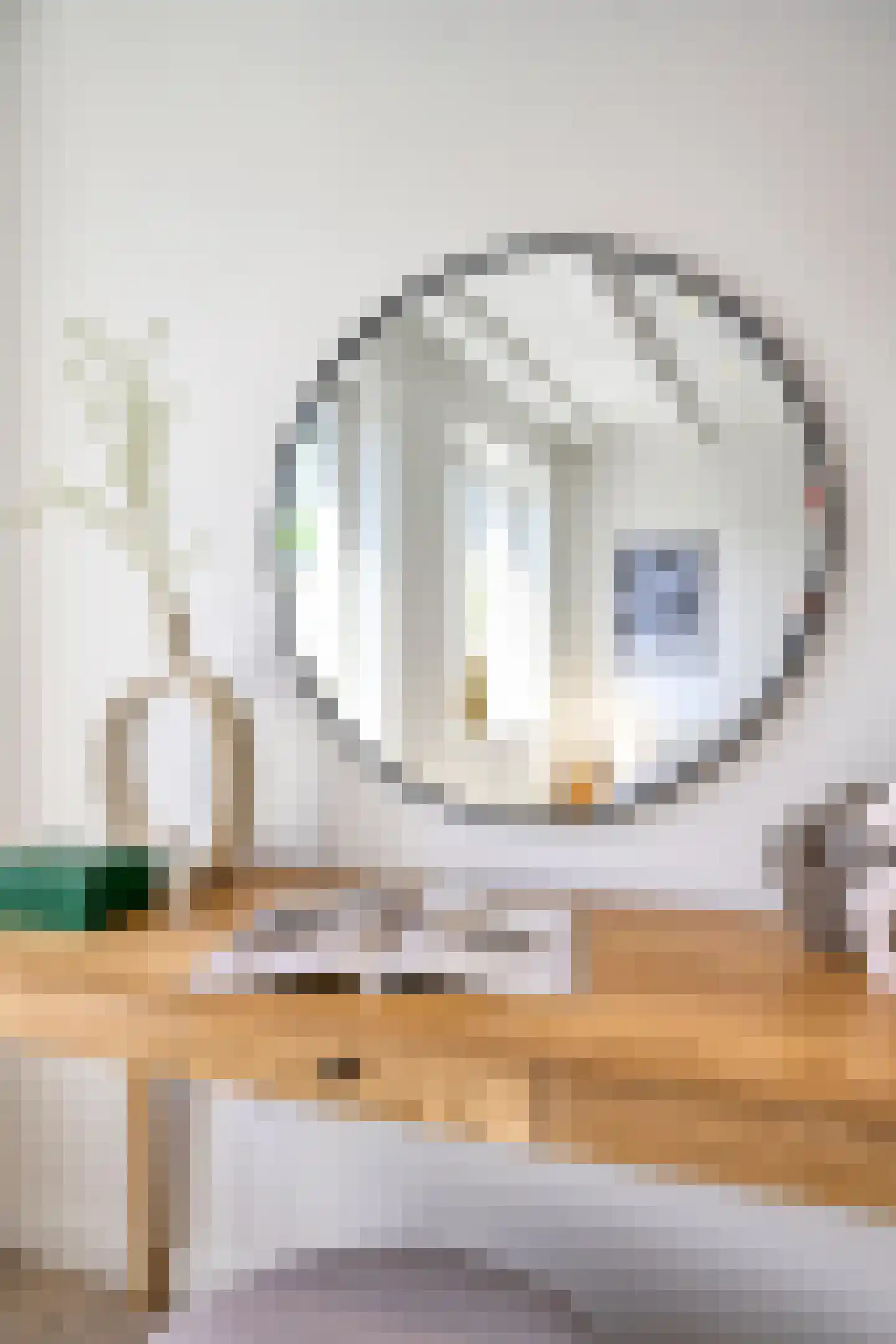 Ericastraat 28 Hilversum thumbnail 40