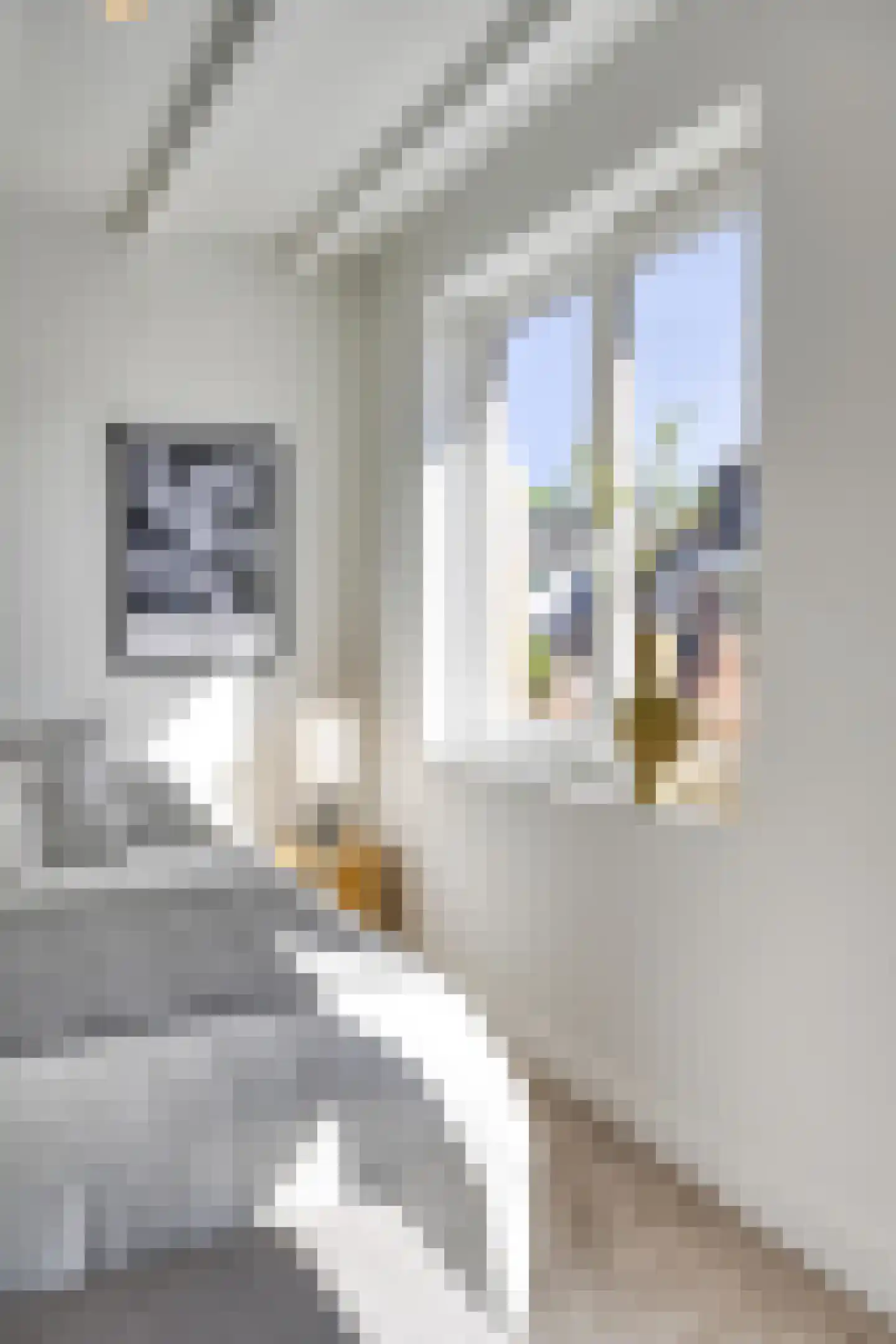 Ericastraat 28 Hilversum thumbnail 42