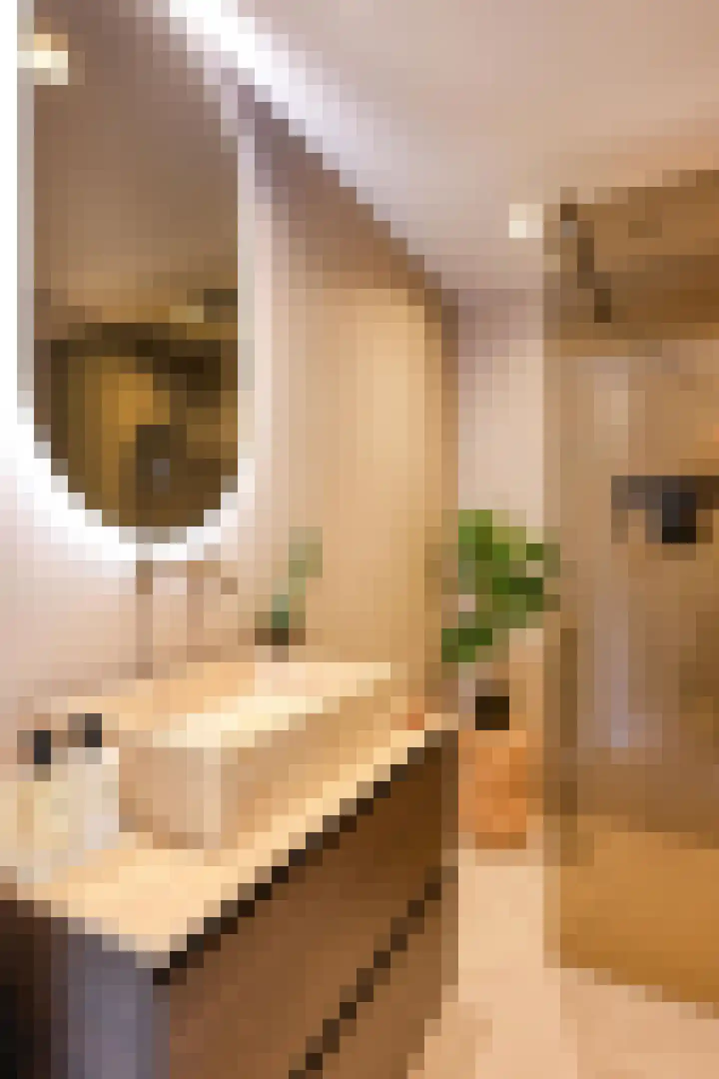 Ericastraat 28 Hilversum thumbnail 46