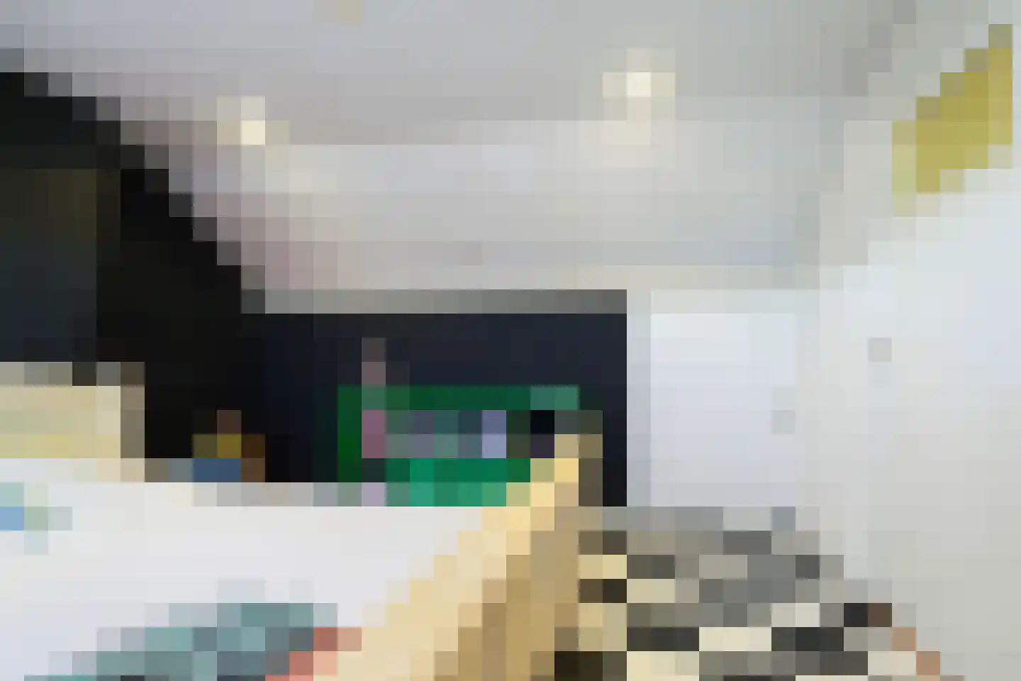 Ericastraat 31 Sint-Michielsgestel thumbnail 32