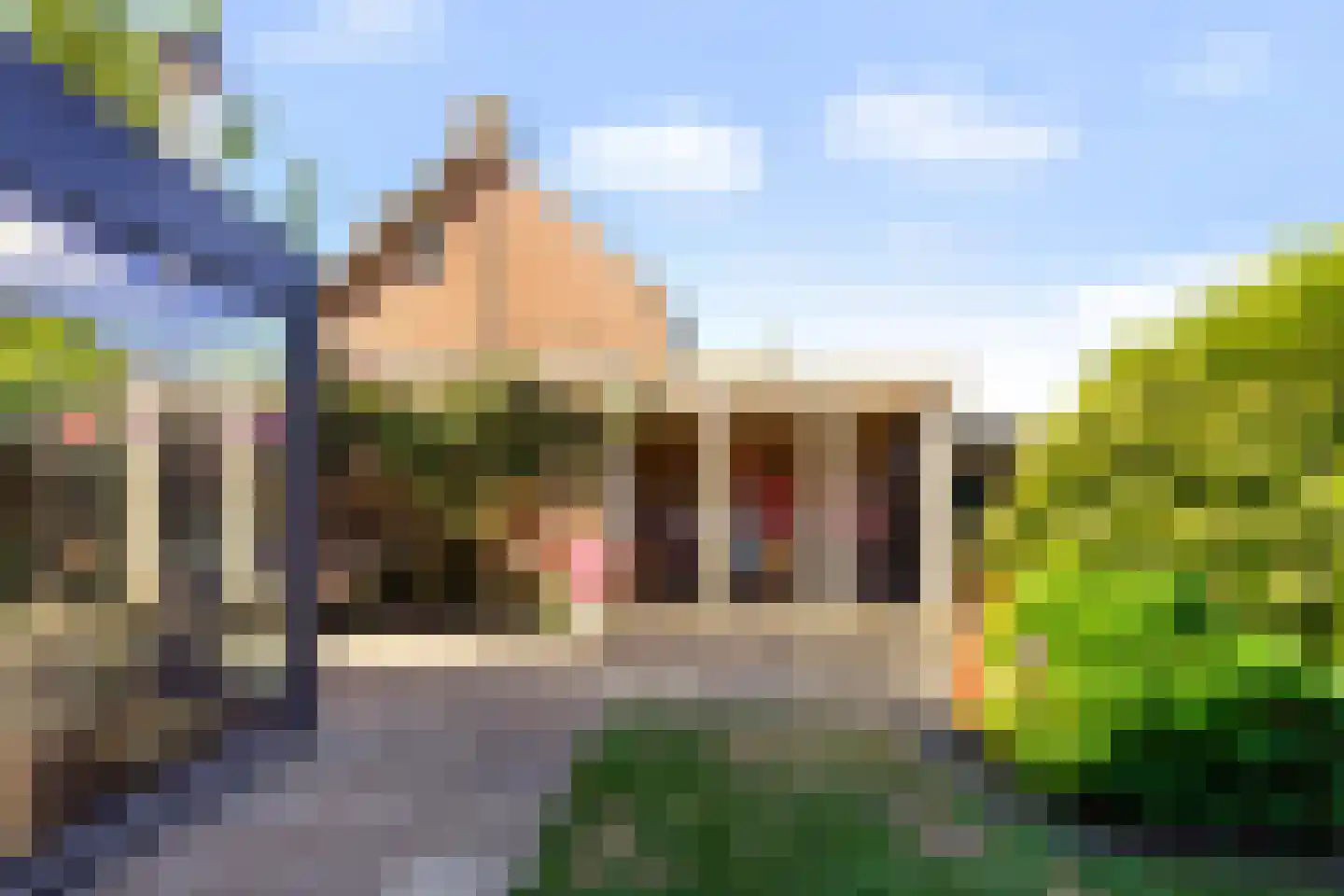 Ericastraat 31 Sint-Michielsgestel thumbnail 38