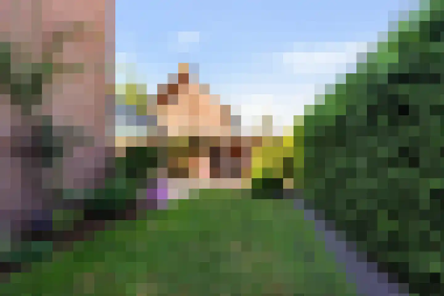 Ericastraat 31 Sint-Michielsgestel thumbnail 39