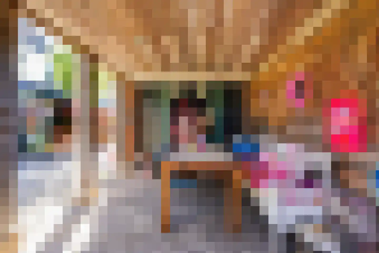 Ericastraat 31 Sint-Michielsgestel thumbnail 41