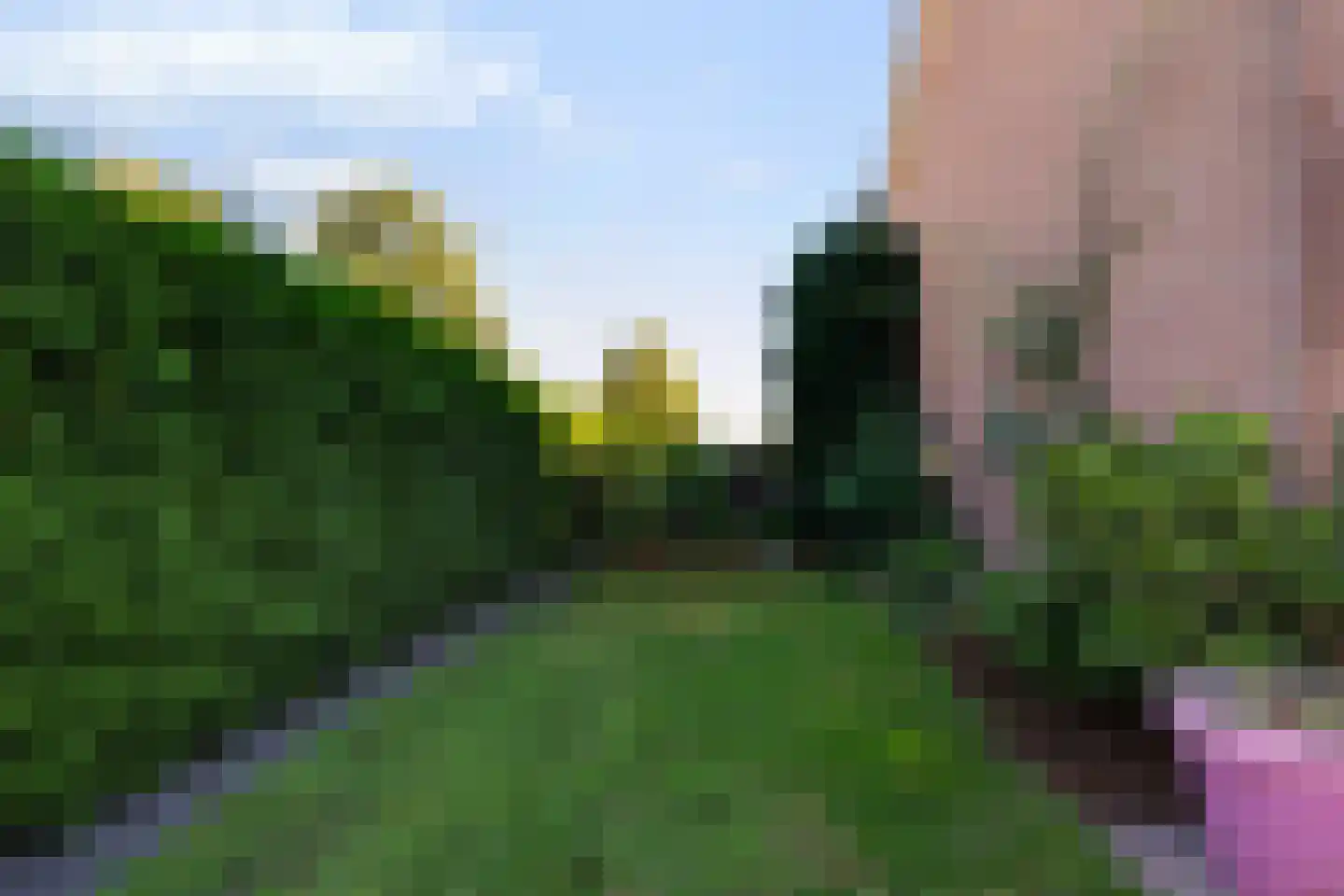 Ericastraat 31 Sint-Michielsgestel thumbnail 43