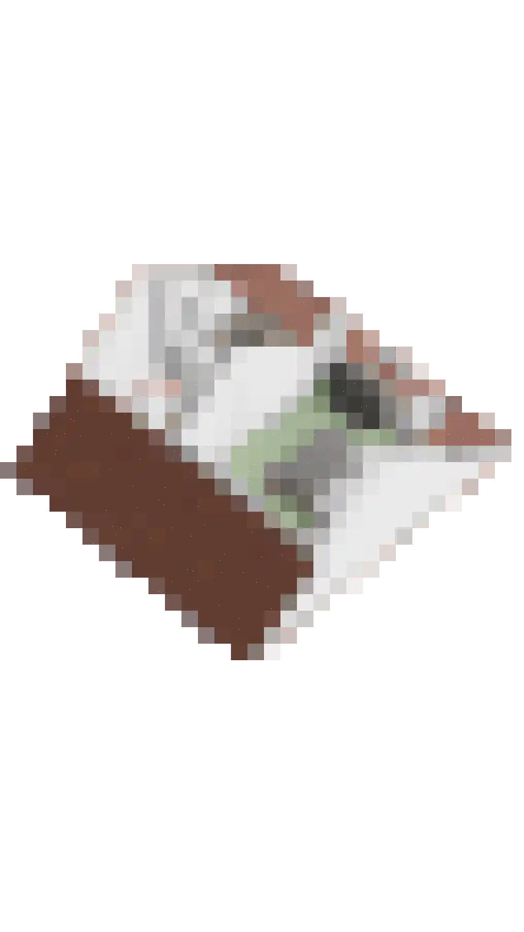 Ericastraat 31 Sint-Michielsgestel thumbnail 54