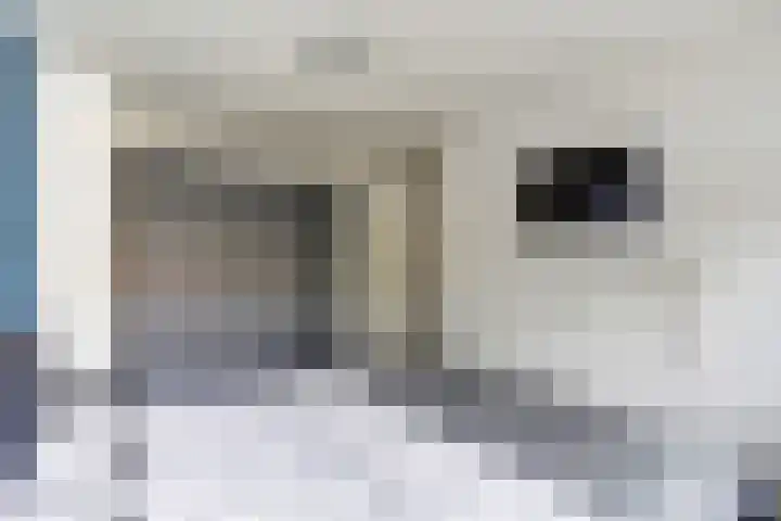 Ericastraat 32 Bladel thumbnail 12