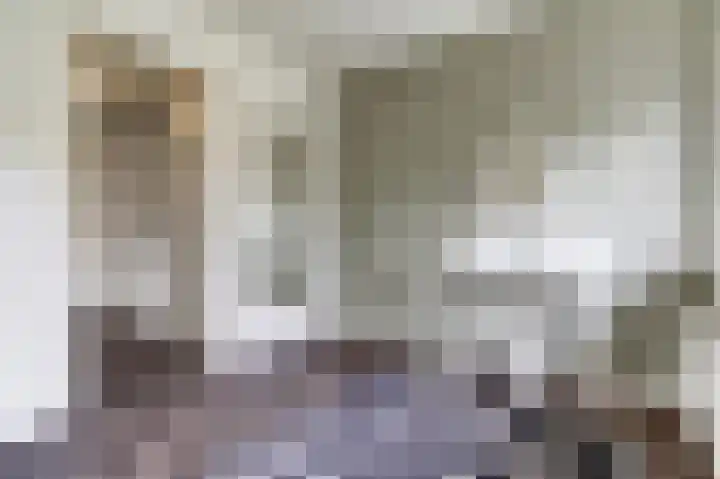 Ericastraat 32 Bladel thumbnail 14