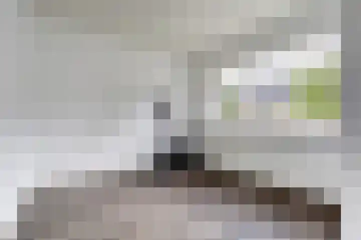 Ericastraat 32 Bladel thumbnail 15