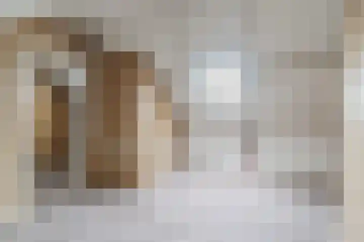 Ericastraat 32 Bladel thumbnail 22