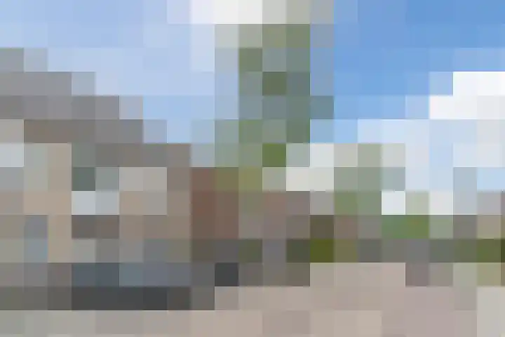 Ericastraat 32 Bladel thumbnail 27