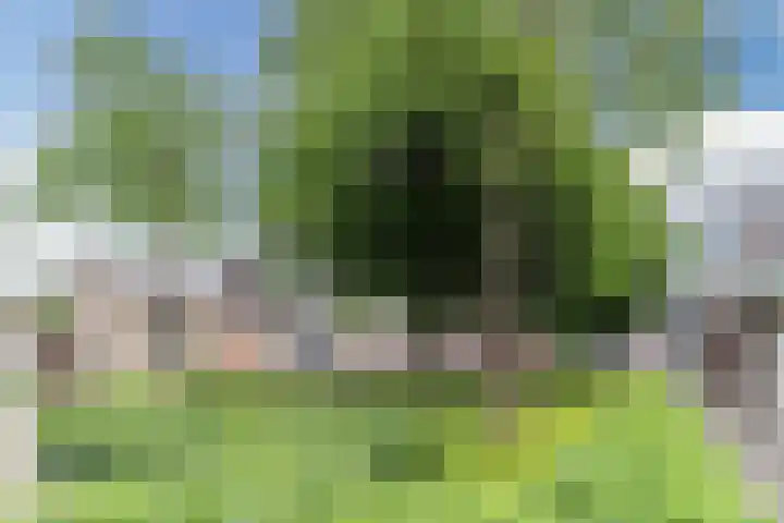 Ericastraat 32 Bladel thumbnail 29